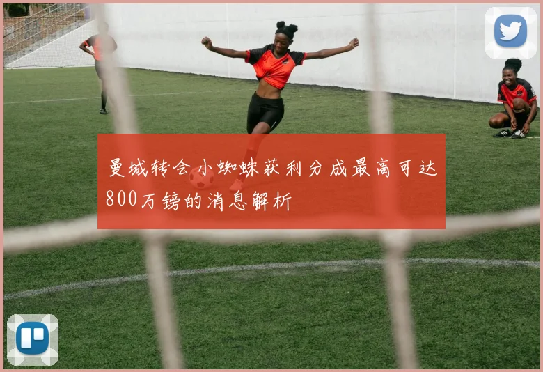 曼城转会小蜘蛛获利分成最高可达800万镑的消息解析